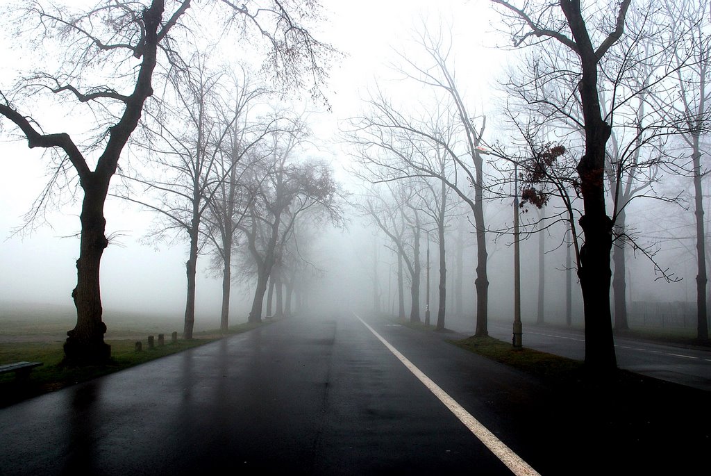 The foggy morning in Cracow, Краков (ш. ул. Вроклавска)