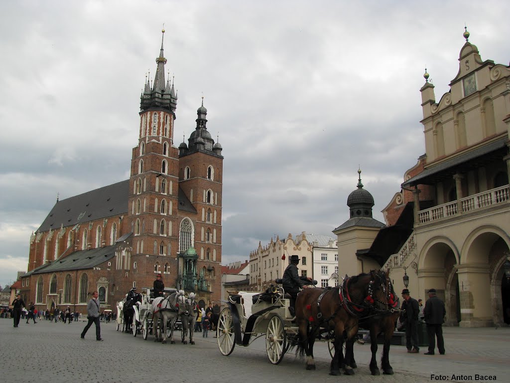 The Main Square, Kraków / Rynek Główny w Krakowie / Krakkó főtere / Piaţa principală din Cracovia (Foto: Anton Bacea), Краков (ш. ул. Симирадзка)