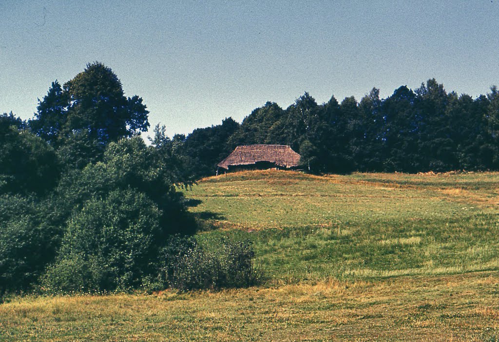 Łapanów. Stara stodoła - rok 1976., Олкуш