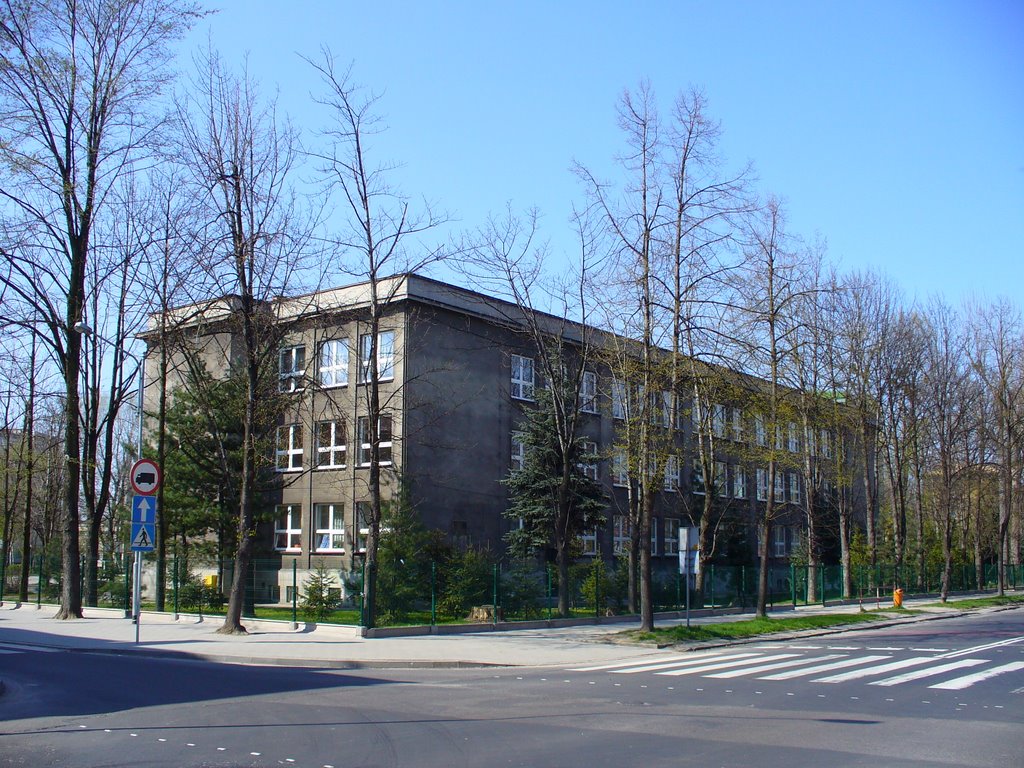 Escuela nr 8 (mi escuela), Освецим