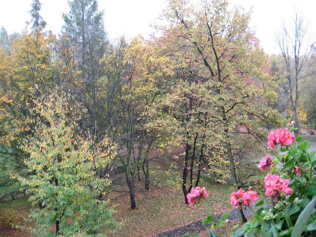 Oświęcim ul.Staszica park jesienią widok z balkonu, Освецим