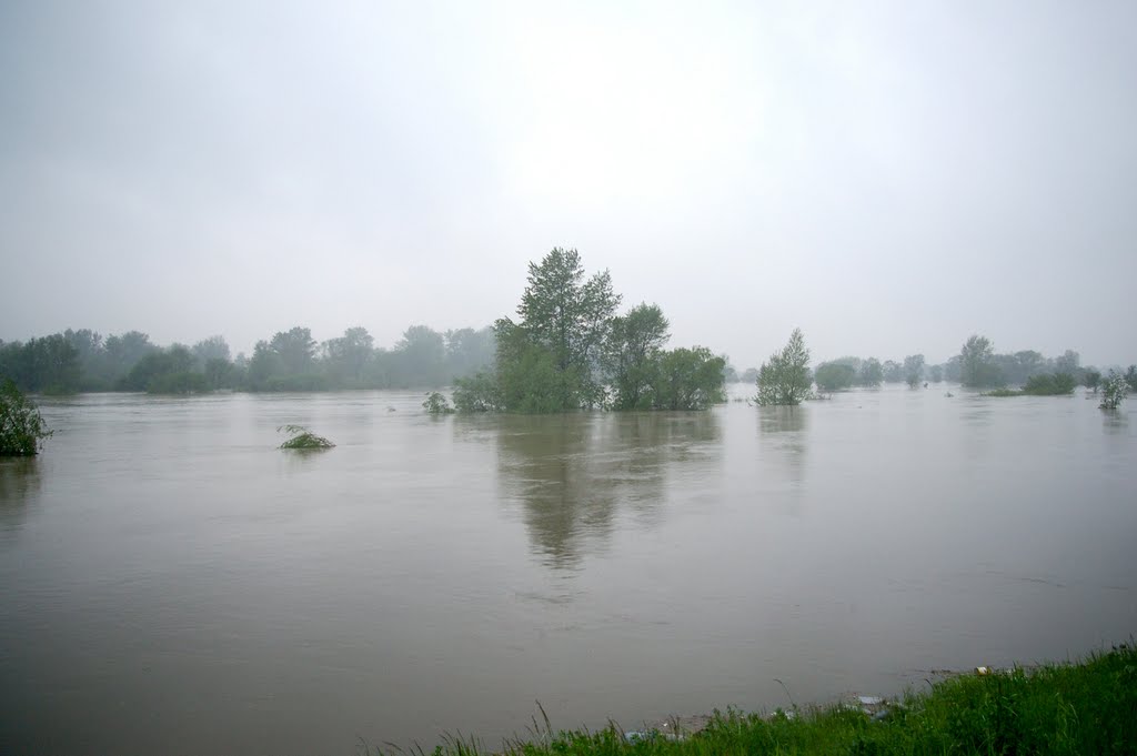 Powódź maj 2010, Освецим