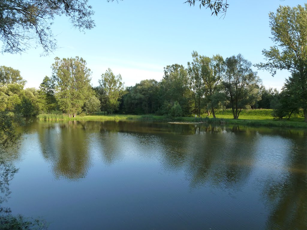 Lake in Skawina, Скавина
