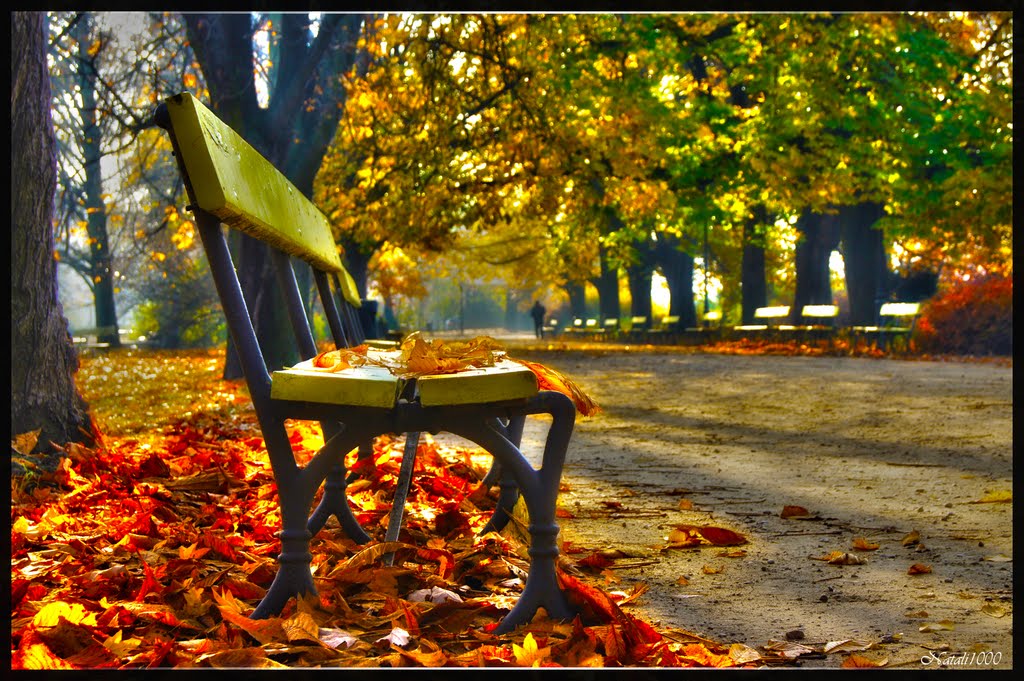 autumn..., Варшава