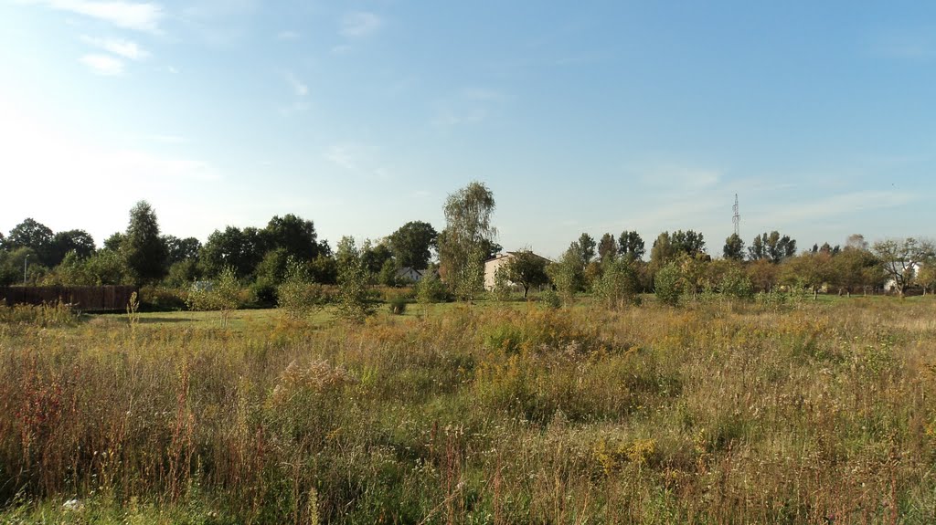 panorama dzielnicy Wołmina-Nowa Wieś, Воломин
