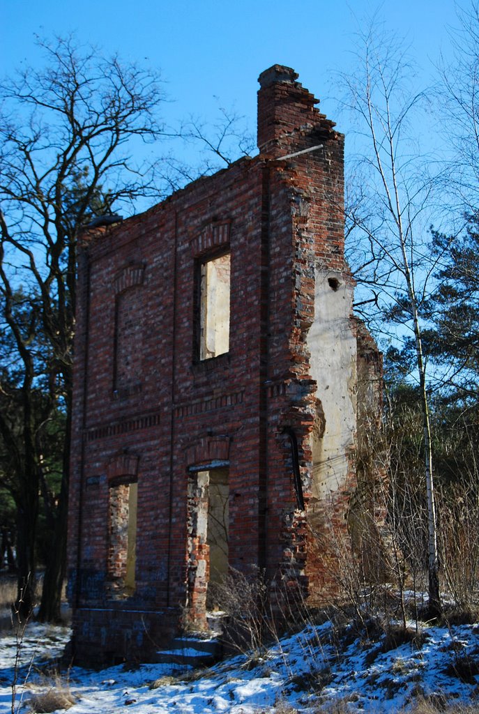 Ruins, Вышков