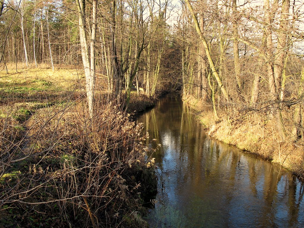 Rzeka Czarna , rez. przyrody ,,Puszcza Słupecka"., Вышков