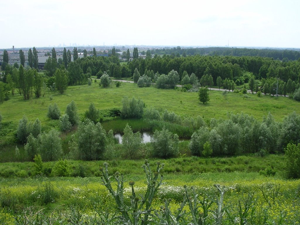 Panorama, Вышков