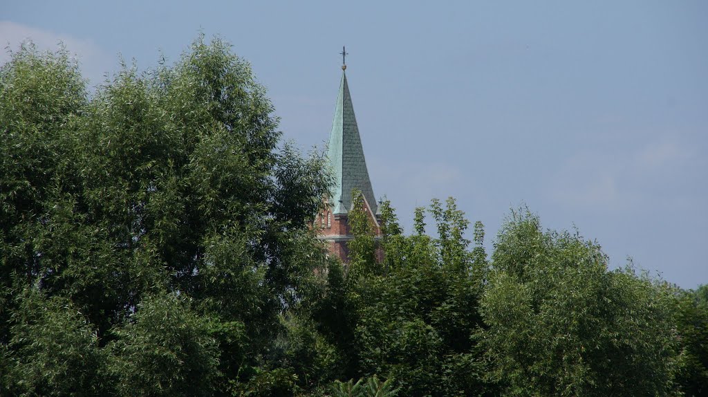 Kościół [2013.07.26], Вышков