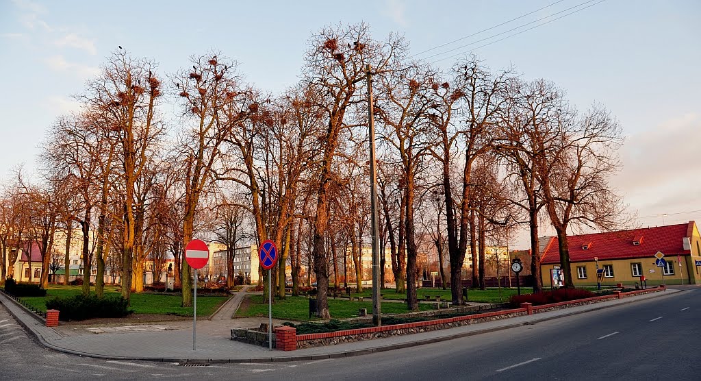 Historyczne drzewa :((( /zk, Гостынин