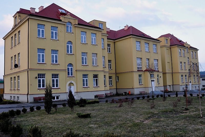 Budynek dawnego szpitala obecnie DPS 1926 r. Gostynin /zk, Гостынин