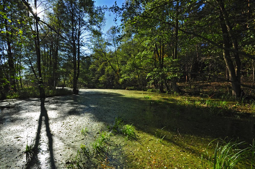 Natura Gostynin /zk, Гостынин