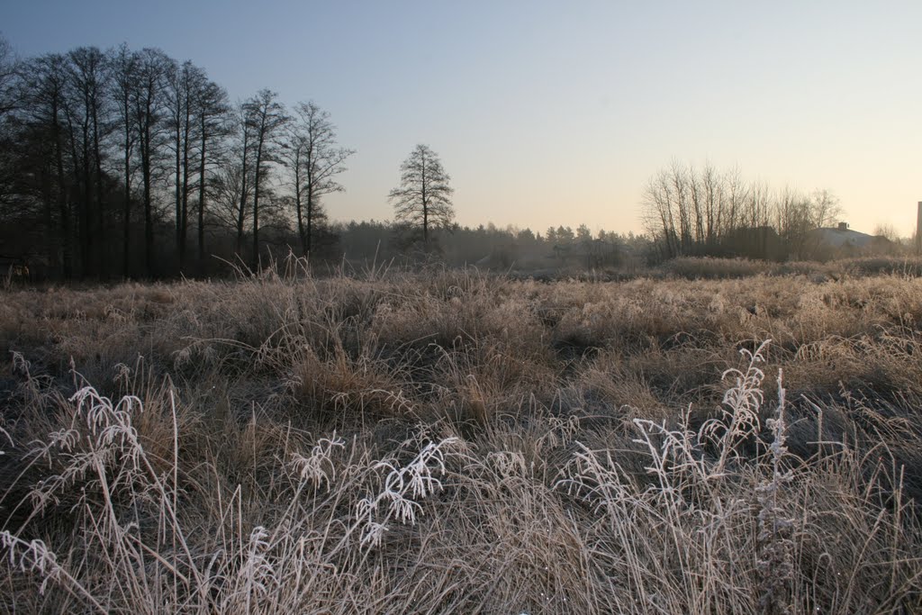 winter meadow (zimowa łąka), Гроджиск-Мазовецки
