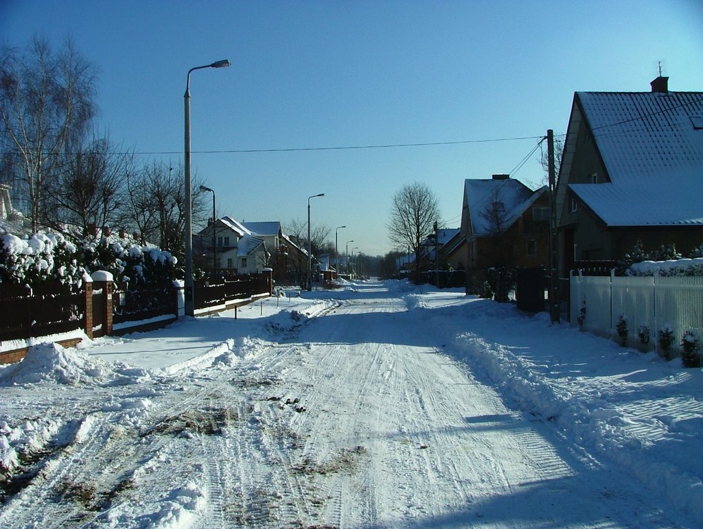 Rydza_Śmigłego zimą :-), Гроджиск-Мазовецки