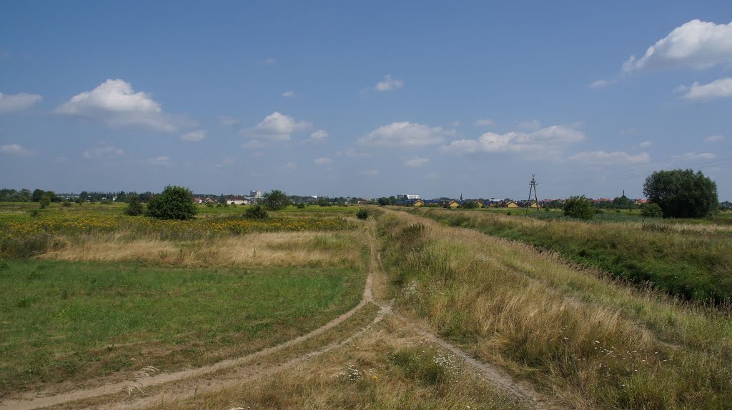 Pole, łąka... [2013.07.26], Гроджиск-Мазовецки