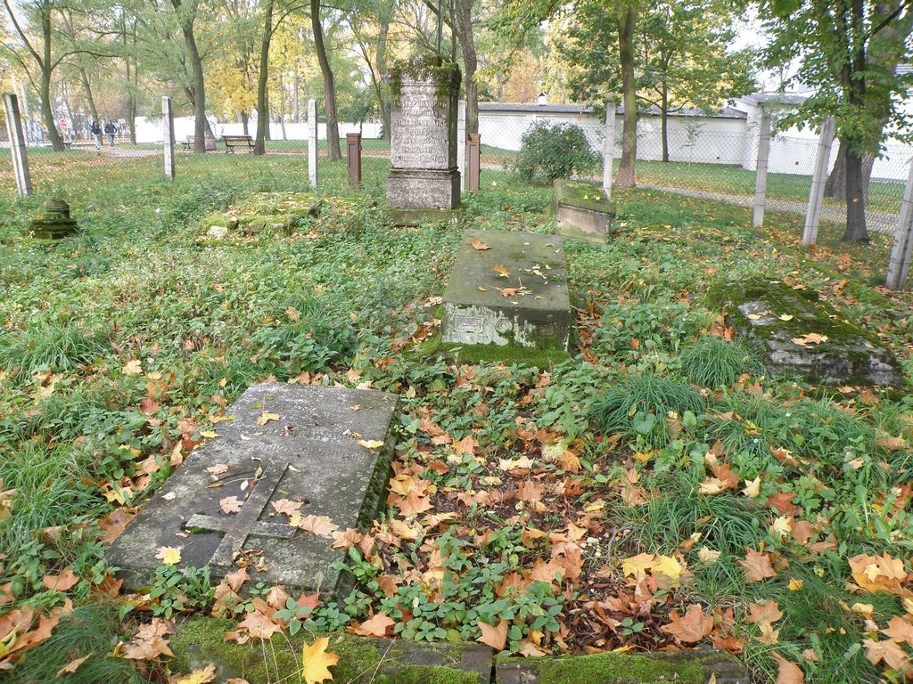 Groby rodziny Dehnów, Козенице