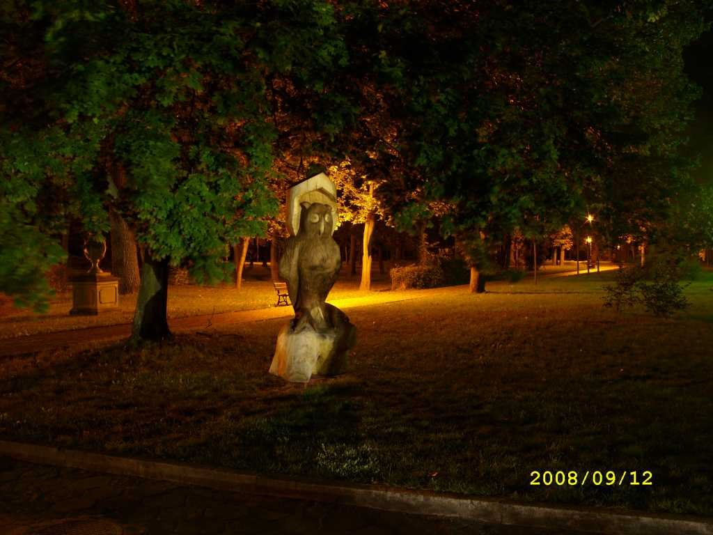 Sowa w parku w nocy, Козенице