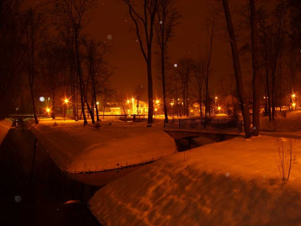 Zima w parku nocą, Козенице
