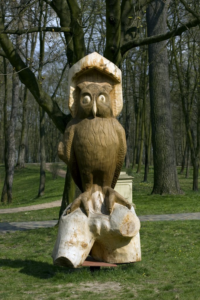 Kozienice Owl in park by AM, Козенице