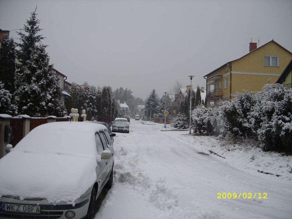 Zima na ulicy Wojska Polskiego, Козенице