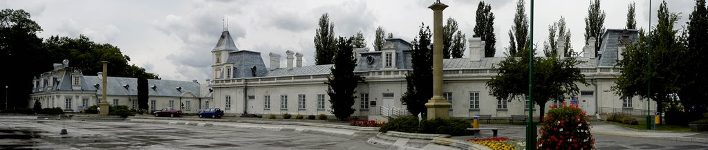 Kozienice - Pałac, Козенице