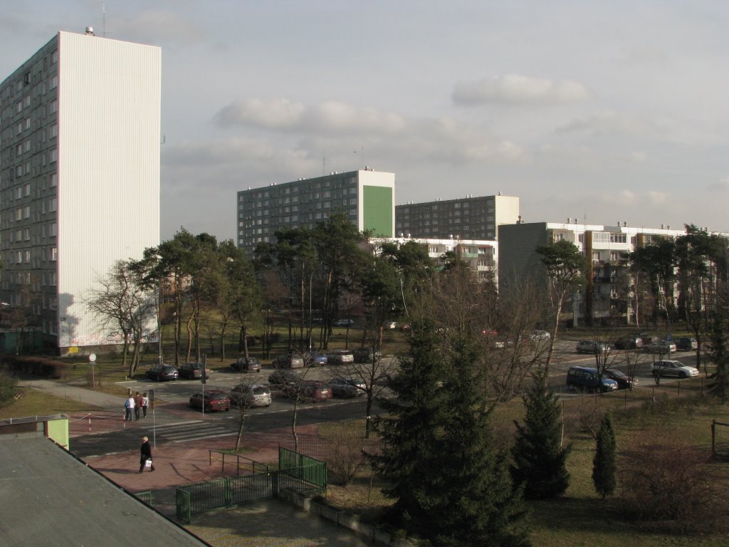 Widok z ZSO2 w kierunku Wschodnim, Легионово