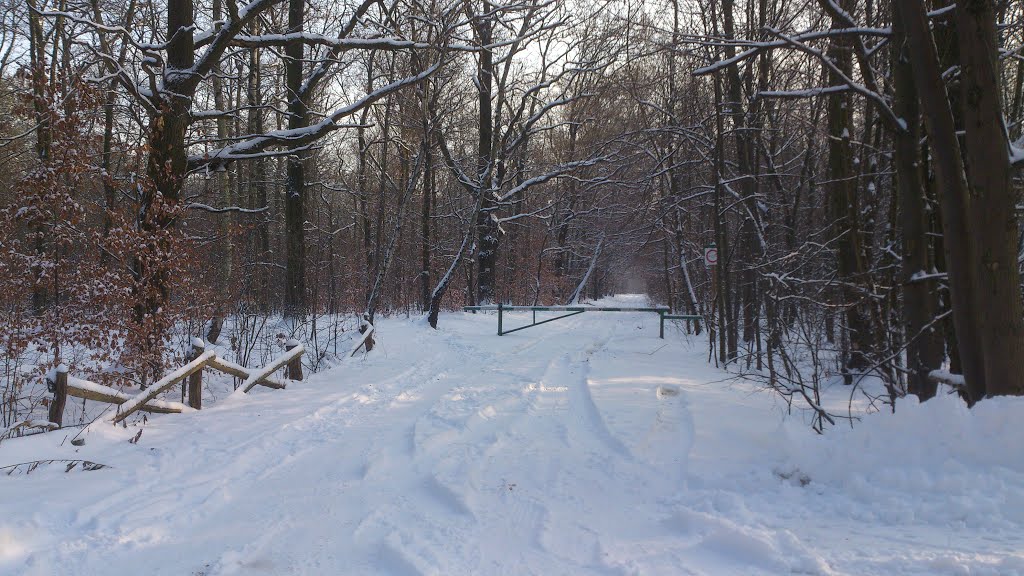 Zima 2012, Легионово