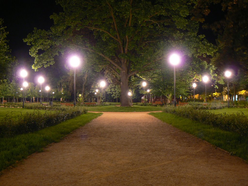 Mława - Park nocą, Млава