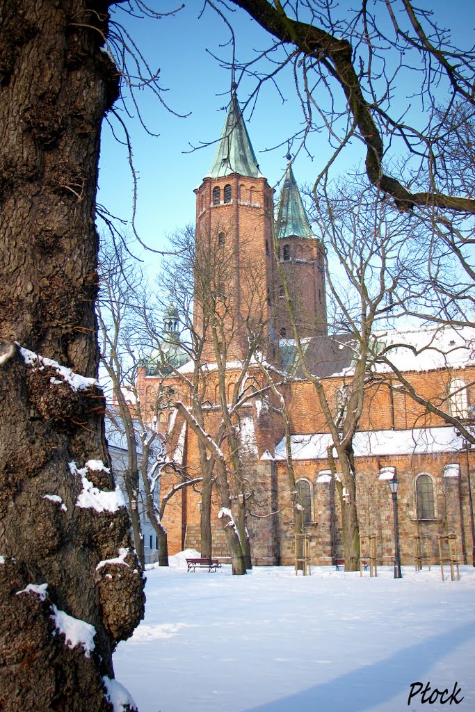 Płock - Katedra, Плоцк