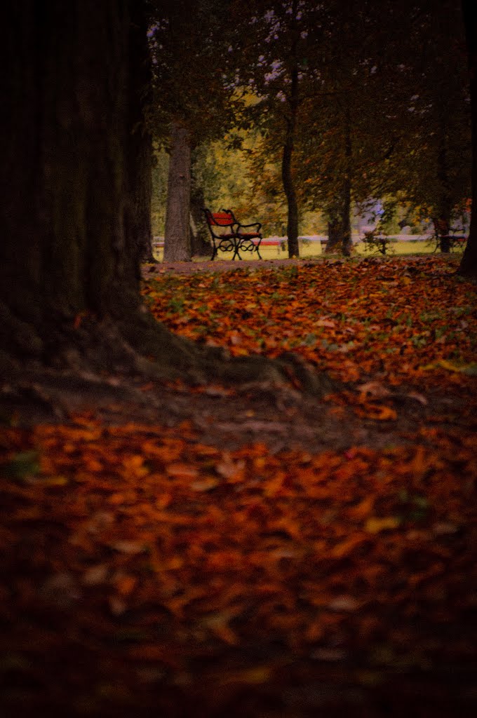 Polish autumn, Седльце