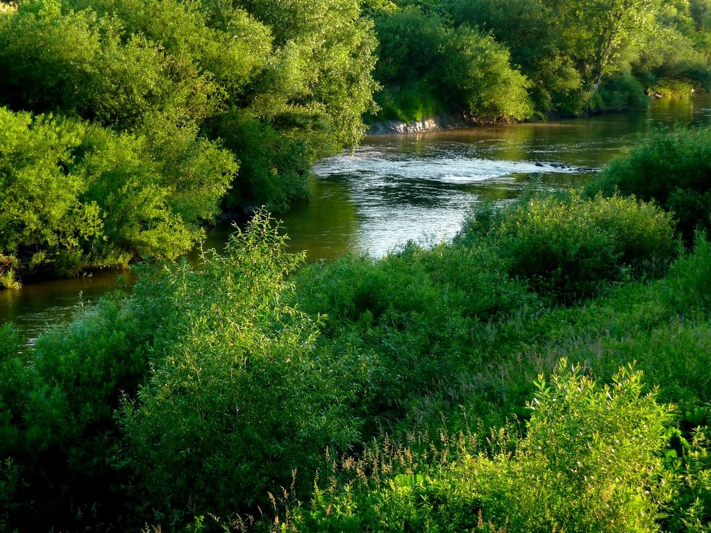 rzeka Wisłoka ,okolice Mielca, Мелец