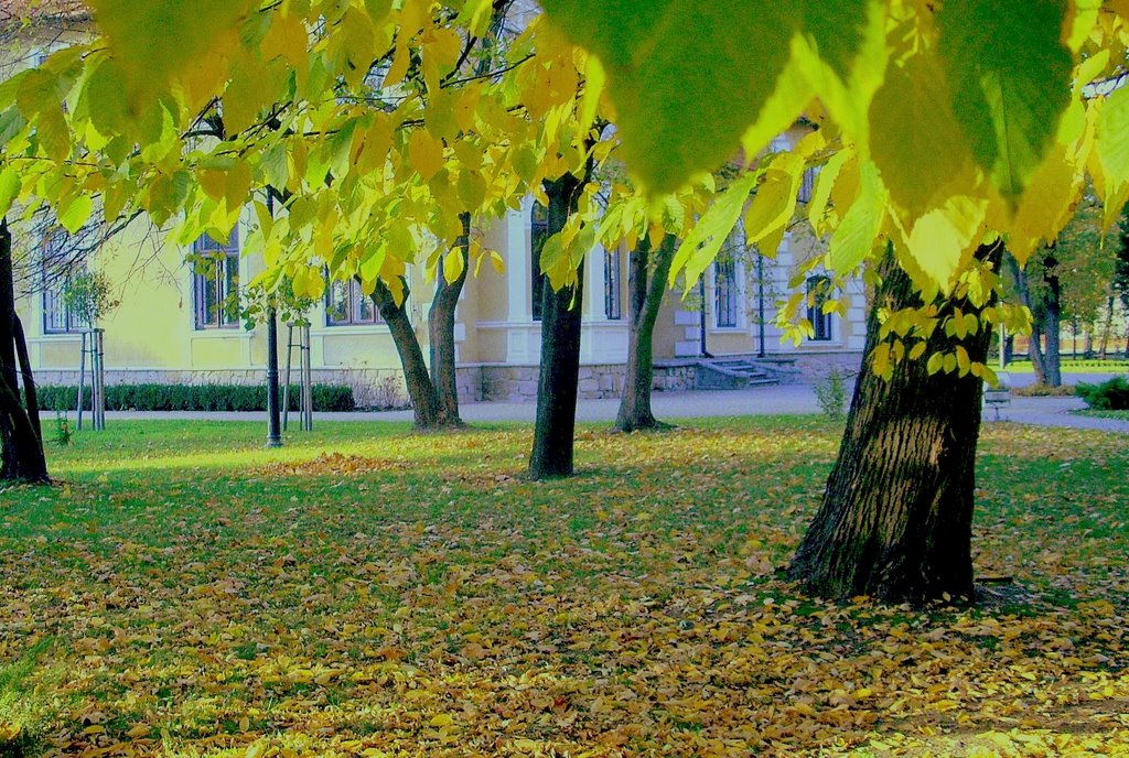 jesień w parku, Мелец