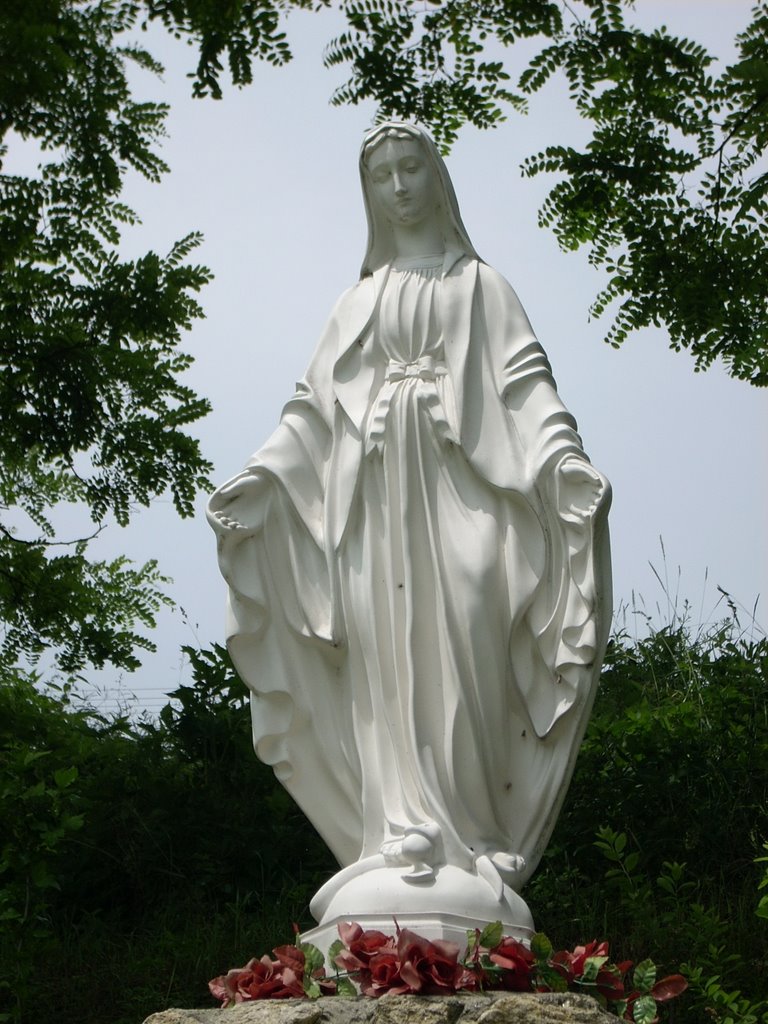 Figura Matki Bożej, Сталова-Вола