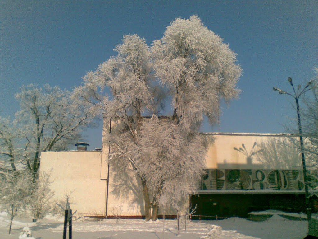 Dom Kultury i ośnieżone drzewa, Тарнобржег