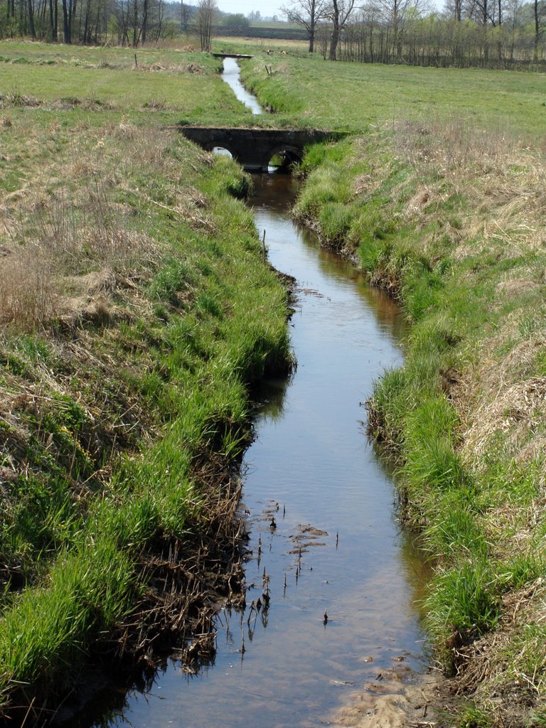 kładki na rzece przy stawach hodowlanych Popielewo  (kwiecień 2009), Аугустов