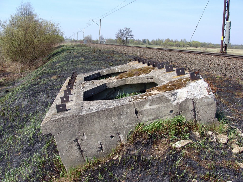 resztki starego mostu kolejowego na rzece Kulikówka (kwiecień 2009), Аугустов