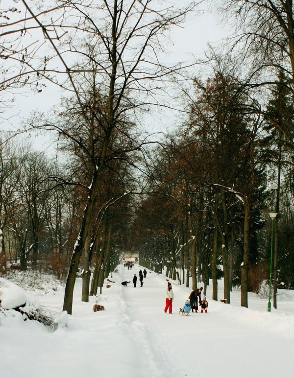 Zima w parku Branickich, bulwary Kosciakowskiego, Белосток