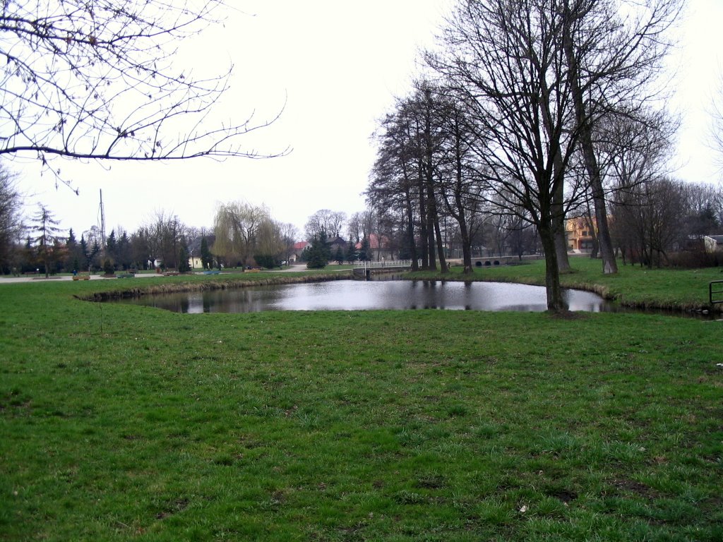 Bielsk Podlaski - staw w parku (pond), Бельск Подласки