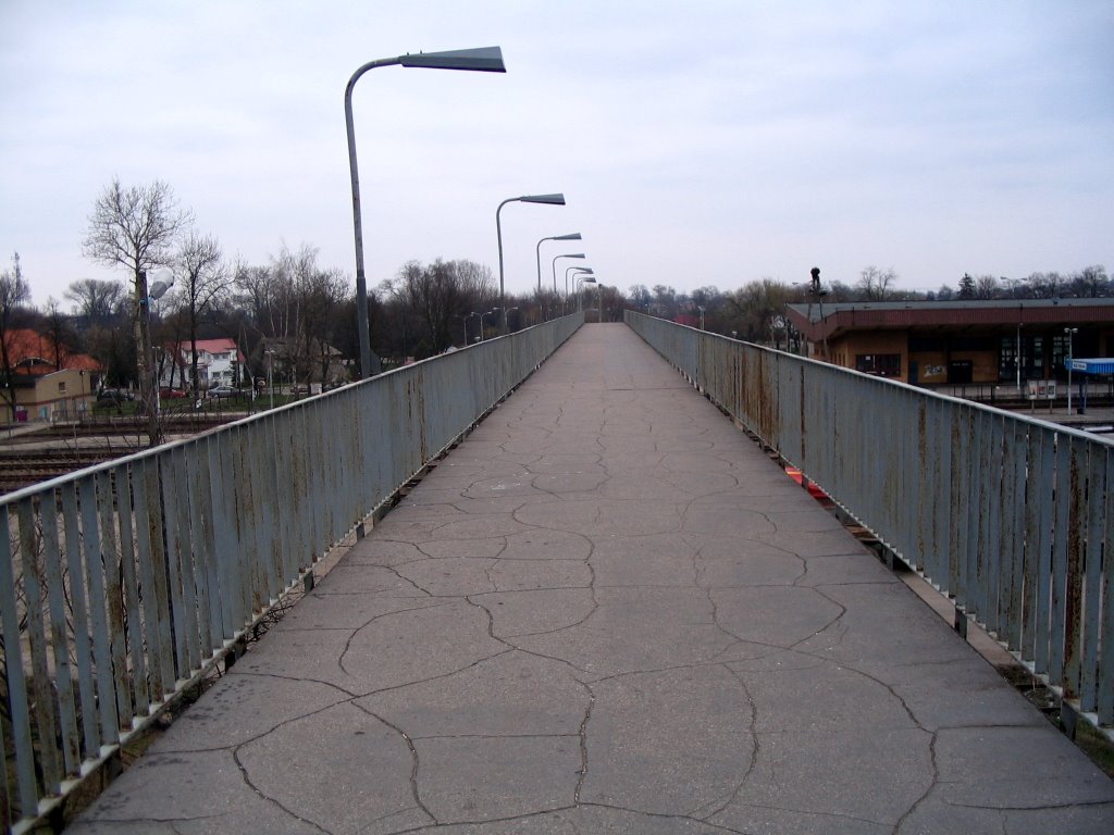 Bielsk Podlaski - wiadukt (viaduct), Бельск Подласки