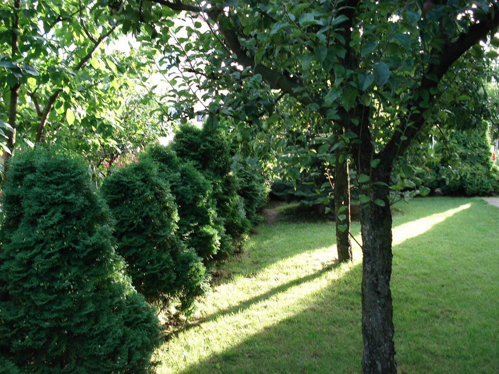 my garden, Граево