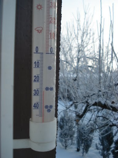 Winter 2008/2009, Граево