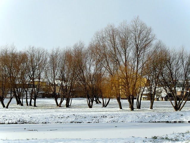 Pierwszy podmuch zimy, Граево