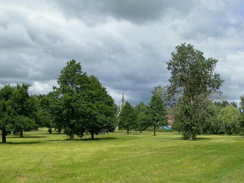 Park centralny- bagnista łączka, Граево