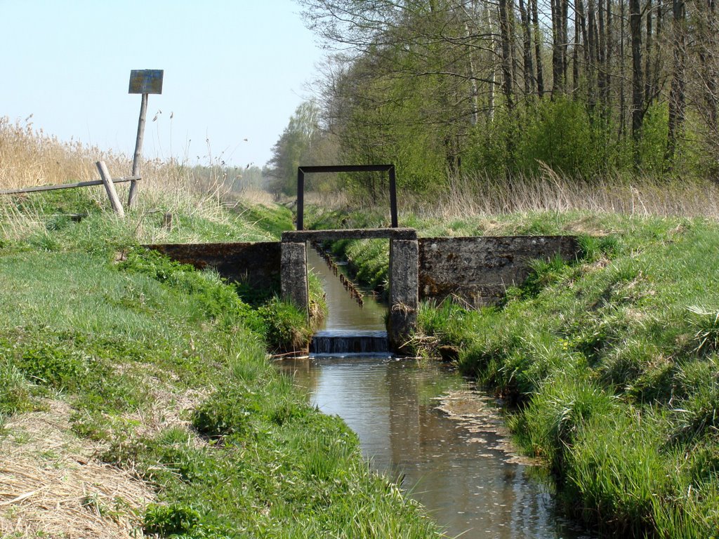 zastawka, tama wodna na rzece Kulikówka, stawy hodowlane Popielewo bud. przełom XIX-XX (kwiecień 2009), Замбров