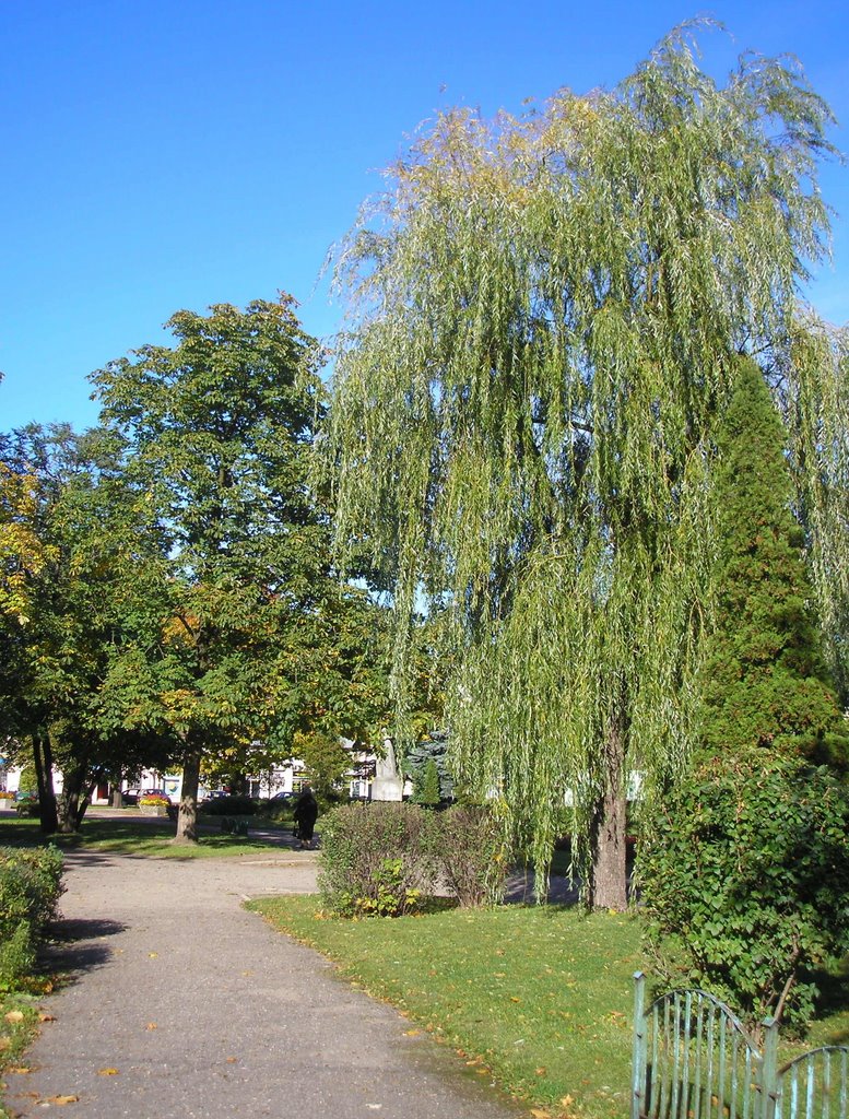 Park Marii Konopnickiej, Сувалки