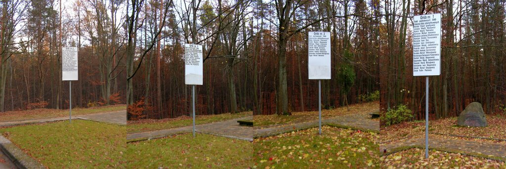 Cmentarz Rosyjskich Żołnierzy - Tablice Grobów 1;2;3;4, Вейхерово