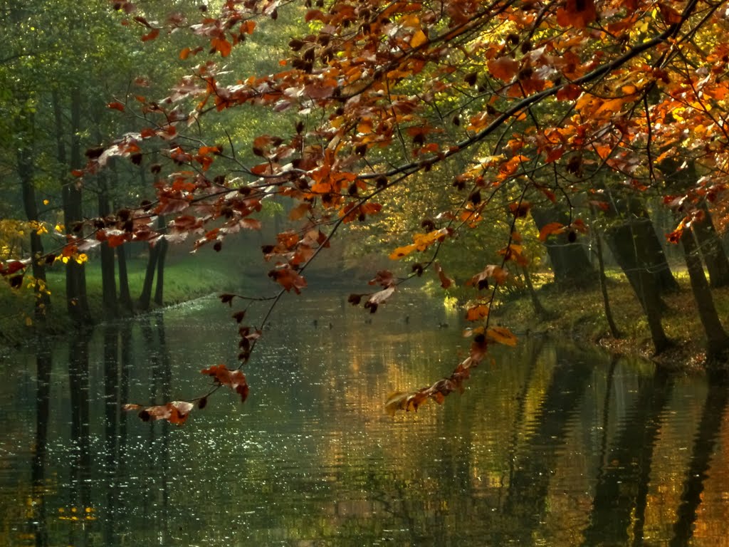 Jesiennie..., Вейхерово