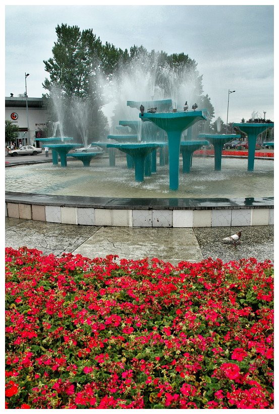 fontanna na Skwerze Kościuszki, Gdynia | fountain at Kosciuszko Sq in Gdynia, Гдыня