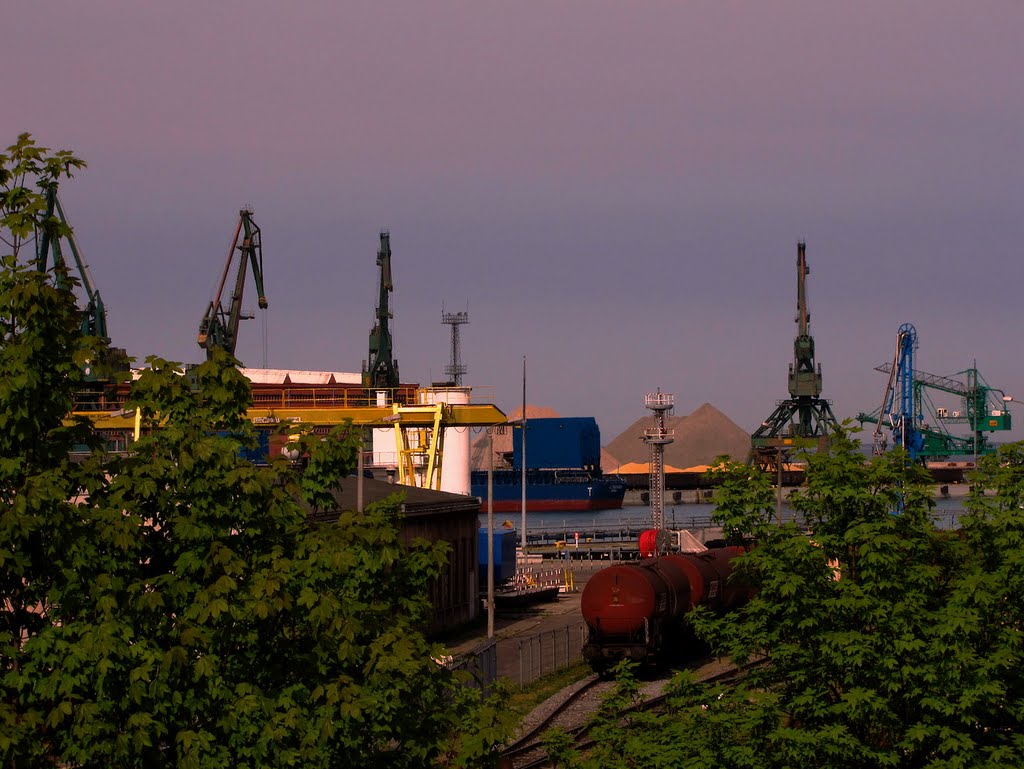marine bulk terminal, Гдыня
