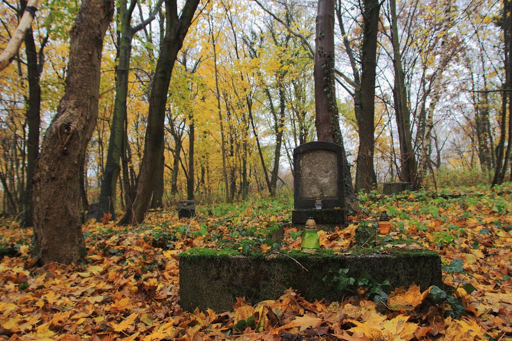 Der Toten in diesem namenlosen Grab, auf dem von polnischen Kommunisten verwüsteten Friedhof in Ritzow, wird immer noch gedacht, Слупск